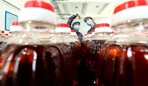 农产品精深加工链商机 张掖高台食用保健油俏销粤闽